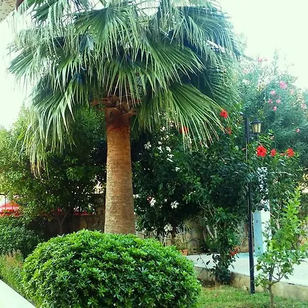 Carhoglu
